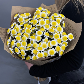 Букет "Моё солнышко" из 11 хризантем сантини  в Апрелевке