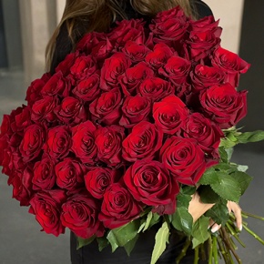 Букет 51 роза Эквадор Эксплорер (70 см) в Апрелевке