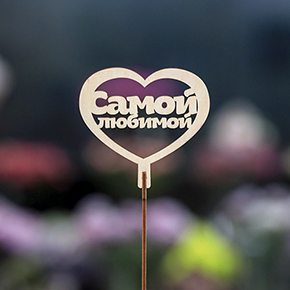 Топпер Самой Любимой в Апрелевке