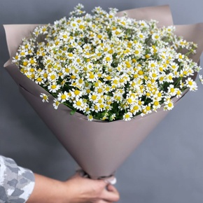 Букет из 17 ромашек танацетум в Апрелевке