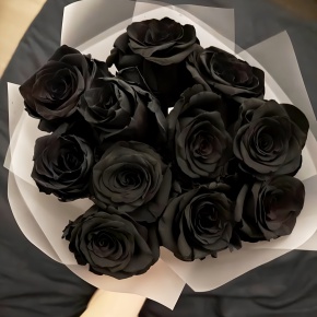 Букет "Черная королева" из 11 черных роз Эквадор (60 см) в Апрелевке