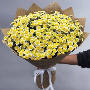 Букет "Моё солнышко" из 31 хризантемы сантини  в Апрелевке