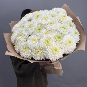 Букет из 27 хризантем Магнум в Апрелевке