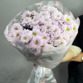 Букет "Нежный комплимент" из 9 кустовых хризантем в Апрелевке