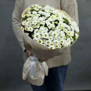Букет "Милая моя" из 17 хризантем сантини в Апрелевке