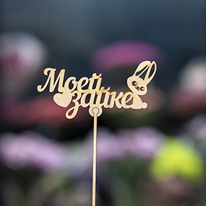 Топпер моей зайке в Апрелевке