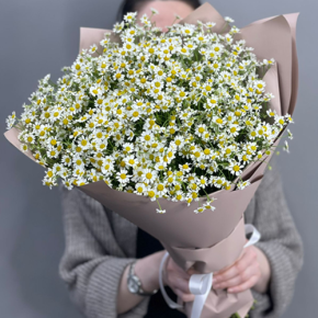 Букет из 17 полевых ромашек в Апрелевке