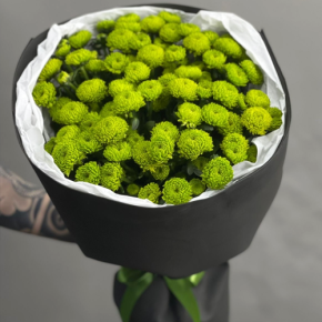 Стильный букет "Лайм" из 15 хризантем сантини в Апрелевке