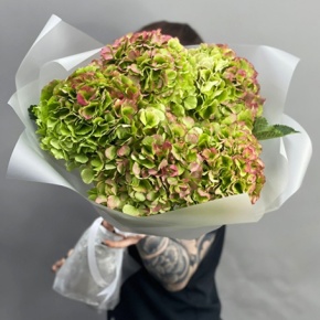 Букет из 5 голландских гортензий в Апрелевке