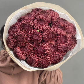 Букет 21 шоколадной хризантемы Бигоуди в Апрелевке