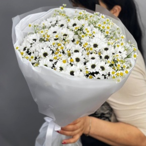 Букет "Понарошку" из хризантем сантини и ромашек в Апрелевке