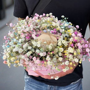 Композиция в коробке сердца из радужных гипсофил с топпером в Апрелевке