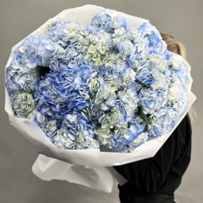 Букет из 23 синих гортензий в Апрелевке