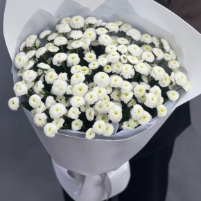Букет "Белая дымка" из 25 хризантем сантини в Апрелевке