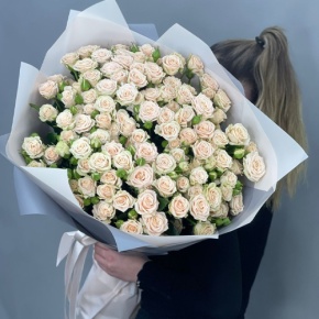 Букет из 25 кремовых кустовых роз (70 см) в Апрелевке