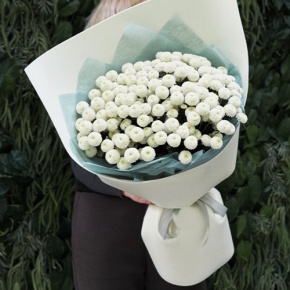 Букет из 25 хризантем Ньютон в Апрелевке