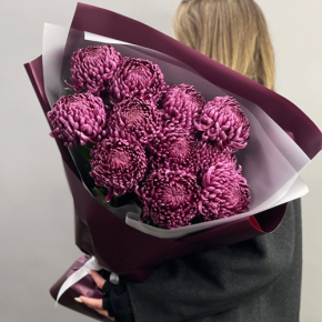 Букет "Изобилие" из 11 винных хризантем Бигоуди в Апрелевке