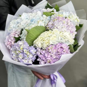 Букет из 9 Голландских гортензий микс в Апрелевке
