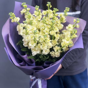 Букет из 15 лимонных маттиол в Апрелевке