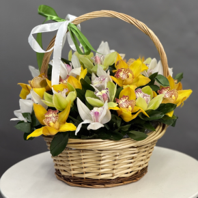Композиция в корзине из 25 орхидей микс в Апрелевке