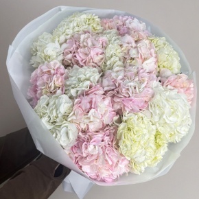 Букет из 17 нежных гортензий в Апрелевке