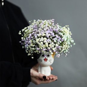 Композиция из гипсофил в керамическом кашпо в Апрелевке