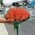 Букет из 51 мандариновой розы (40 см) в Апрелевке