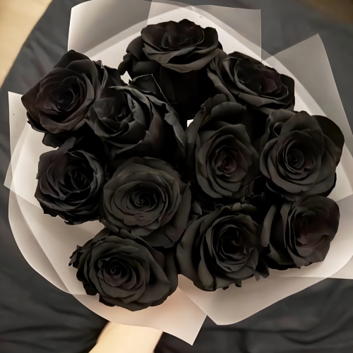 Букет "Черная королева" из 11 черных роз Эквадор (60 см) в Апрелевке