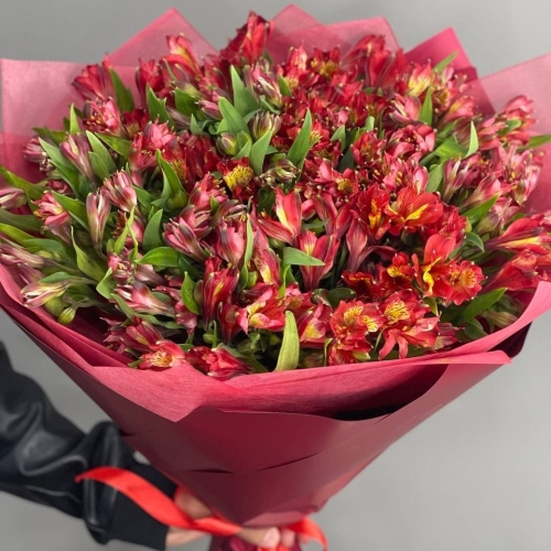 Монобукет из 25 красных альстромерий в Апрелевке