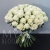 Букет 75 белых роз Эквадор Мондиаль (80 см) в Апрелевке