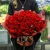 Букет 101 красная Кенийская роза (40 см) в Апрелевке
