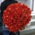 Букет 101 коралловая роза (60 см) в Апрелевке