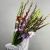 Букет из 25 гладиолусов микс в Апрелевке