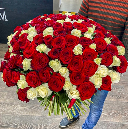 Букет 151 роза красный и белый микс (60 см) в Апрелевке