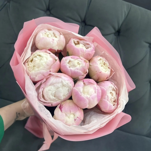 Букет из 9 нежных пионов Гардения в Апрелевке