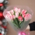 Букет "Фламинго" из 11 пионовидных тюльпанов в Апрелевке