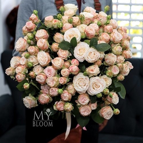 Букет 51 пионовидная роза Бомбастик (60 см) в Апрелевке