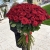 Букет из 101 красной розы (90 см) в Апрелевке