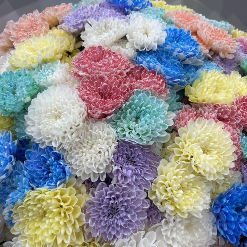 Букет " Радуга" из кустовых хризантем в Апрелевке