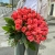 Букет 51 роза коралл (60 см) в Апрелевке
