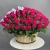 Композиция в корзине из 151 малиновой розы в Апрелевке