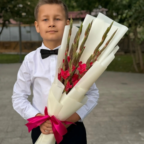 Букет на 1 сентября из 7 малиновых гладиолусов в Апрелевке