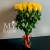 Букет 25 желтых роз эквадор (60 см) в Апрелевке