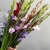 Букет из 25 гладиолусов микс в Апрелевке